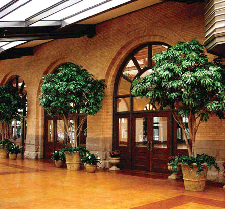 hallway with silk trees