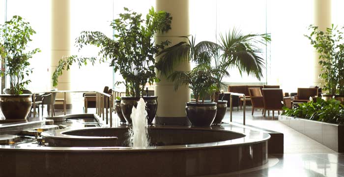 rows and pots of silk plants near indoor fountain